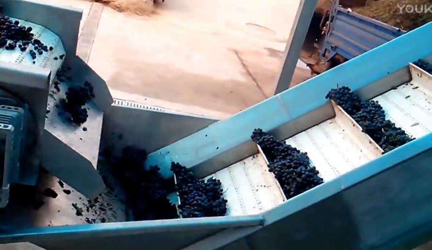 馬丁5噸葡萄生產(chǎn)線(xiàn)視頻